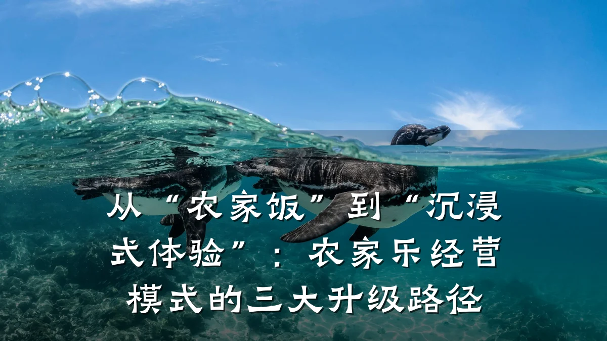 从“农家饭”到“沉浸式体验”:农家乐经营模式的三大升级路径