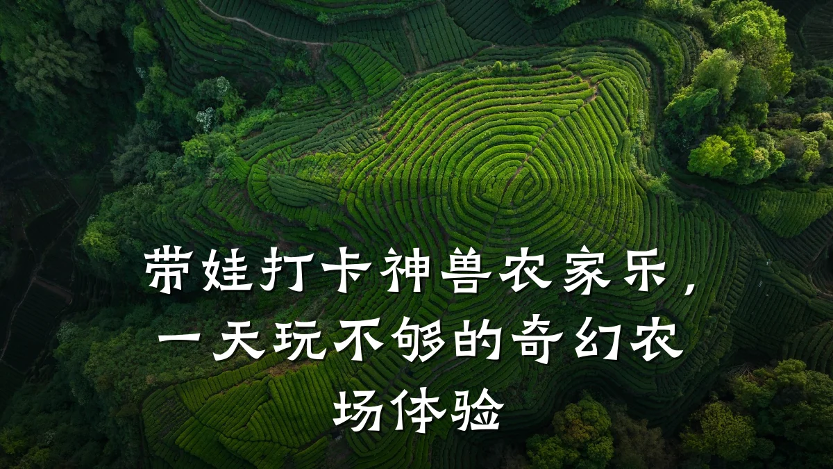 带娃打卡神兽农家乐,一天玩不够的奇幻农场体验