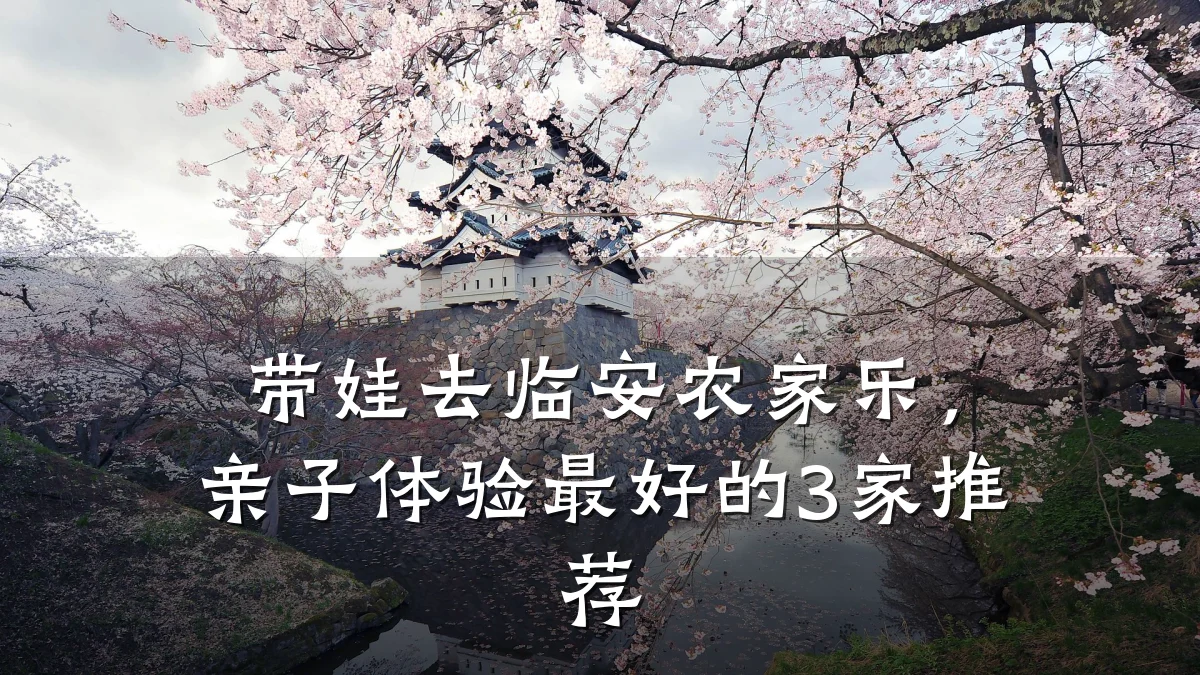 带娃去临安农家乐,亲子体验最好的3家推荐