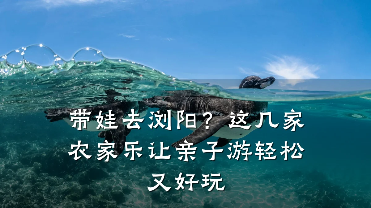 带娃去浏阳?这几家农家乐让亲子游轻松又好玩