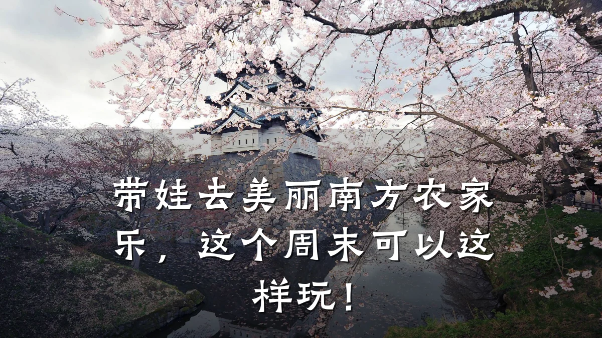 带娃去美丽南方农家乐,这个周末可以这样玩!
