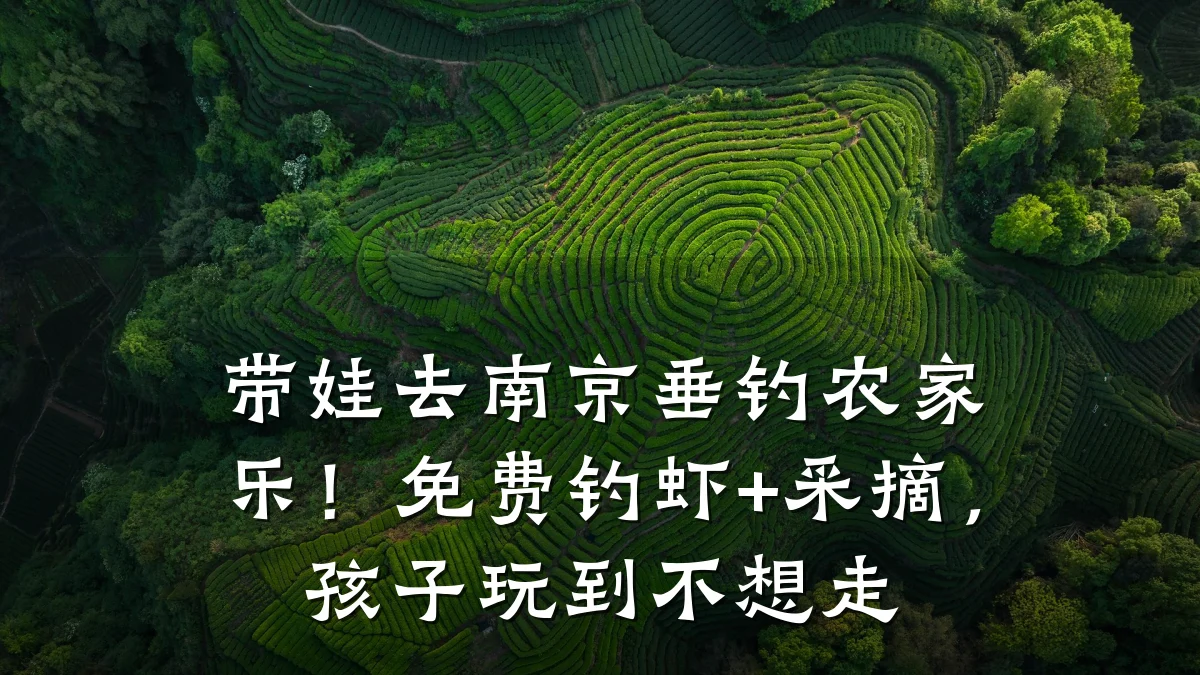 带娃去南京垂钓农家乐!免费钓虾+采摘,孩子玩到不想走