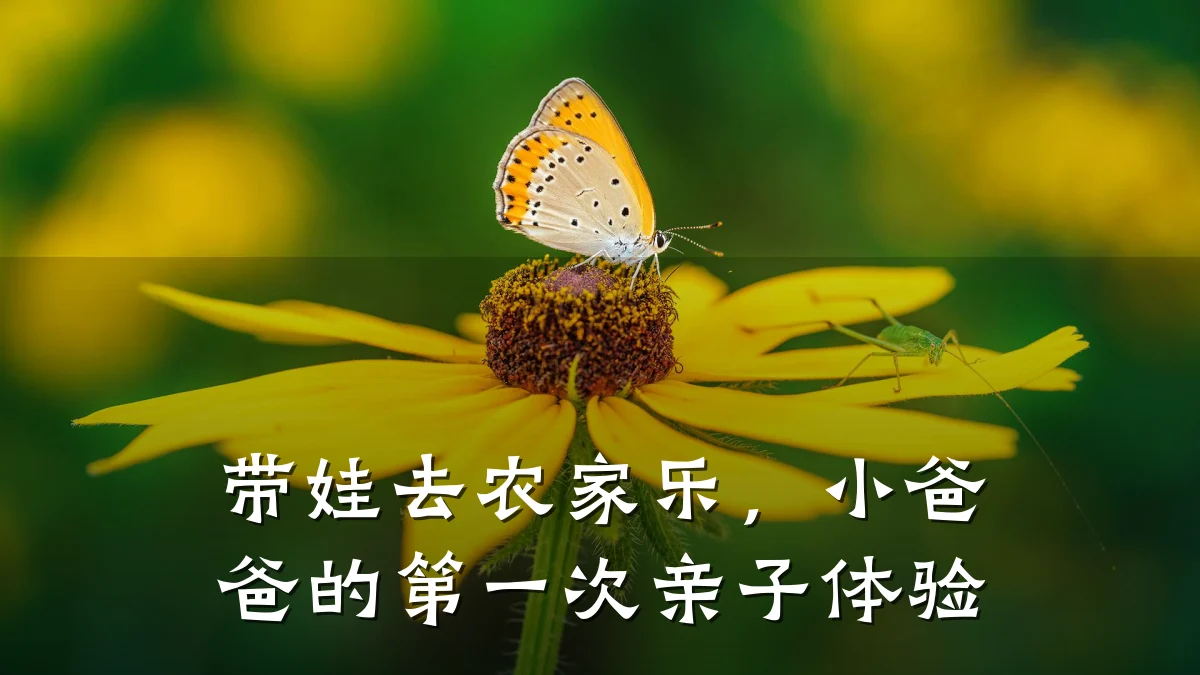 带娃去农家乐,小爸爸的第一次亲子体验