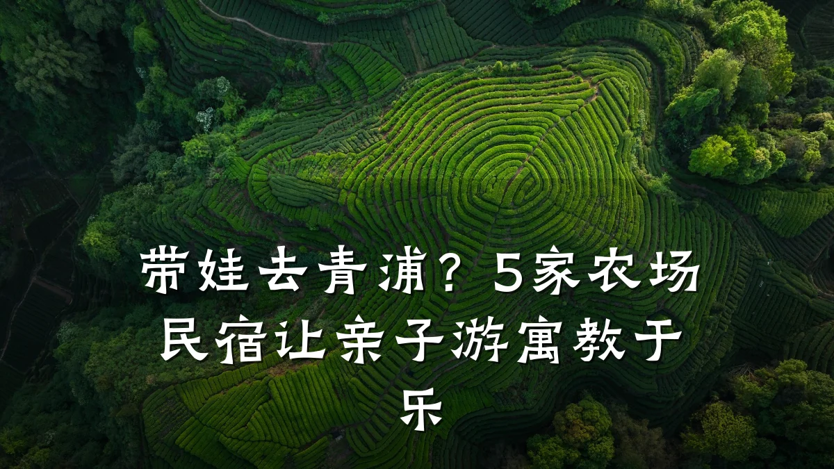 带娃去青浦？5家农场民宿让亲子游寓教于乐