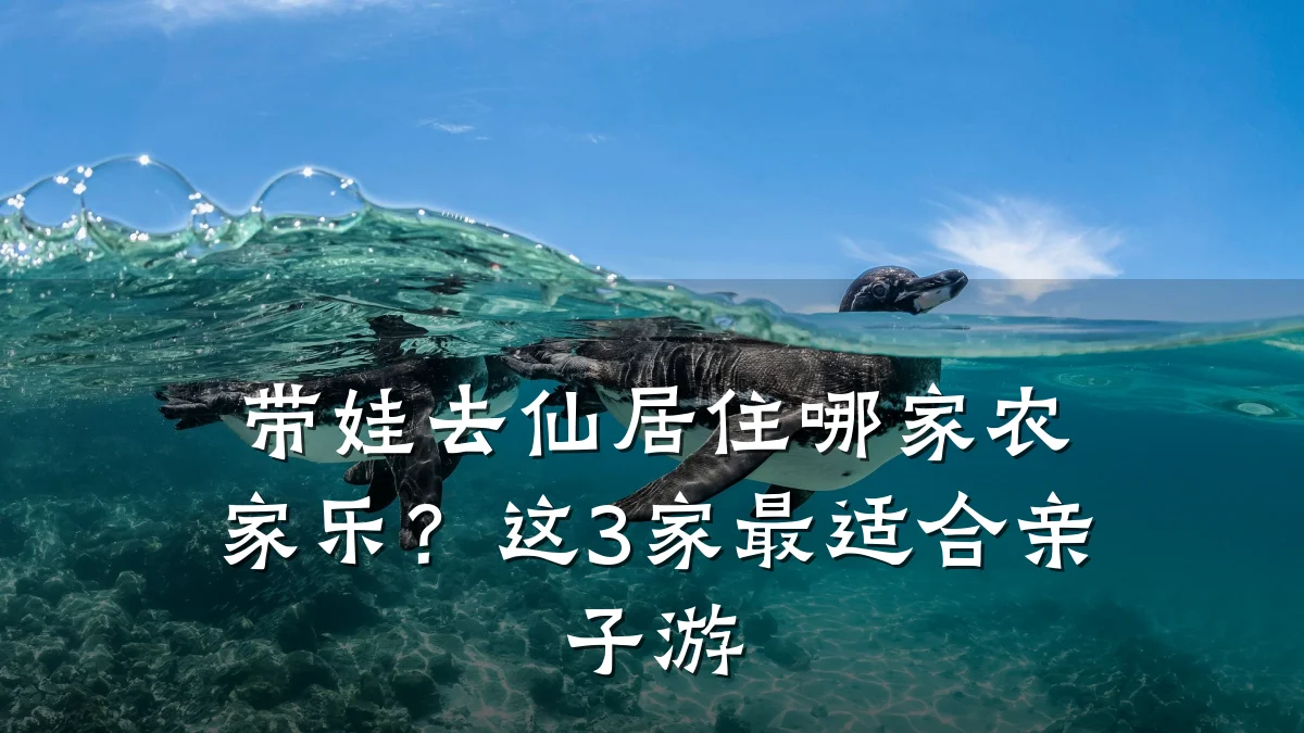 带娃去仙居住哪家农家乐?这3家最适合亲子游