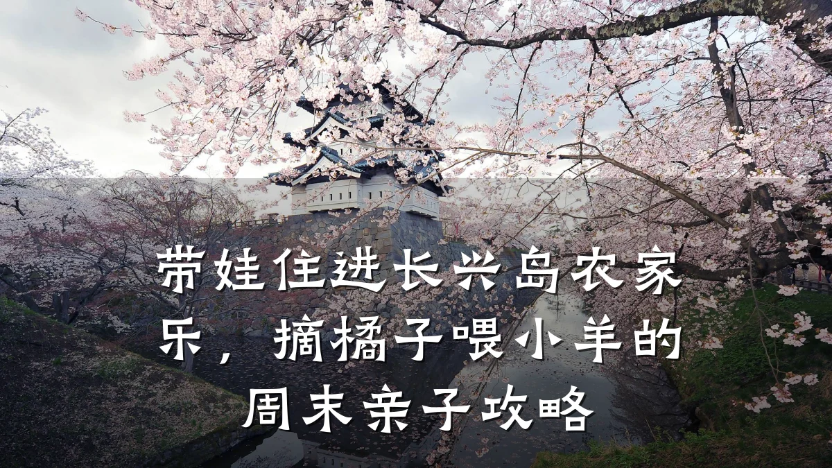 带娃住进长兴岛农家乐,摘橘子喂小羊的周末亲子攻略