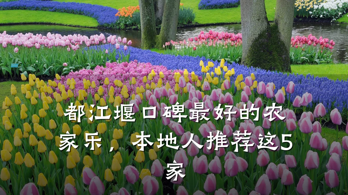 都江堰口碑最好的农家乐,本地人推荐这5家