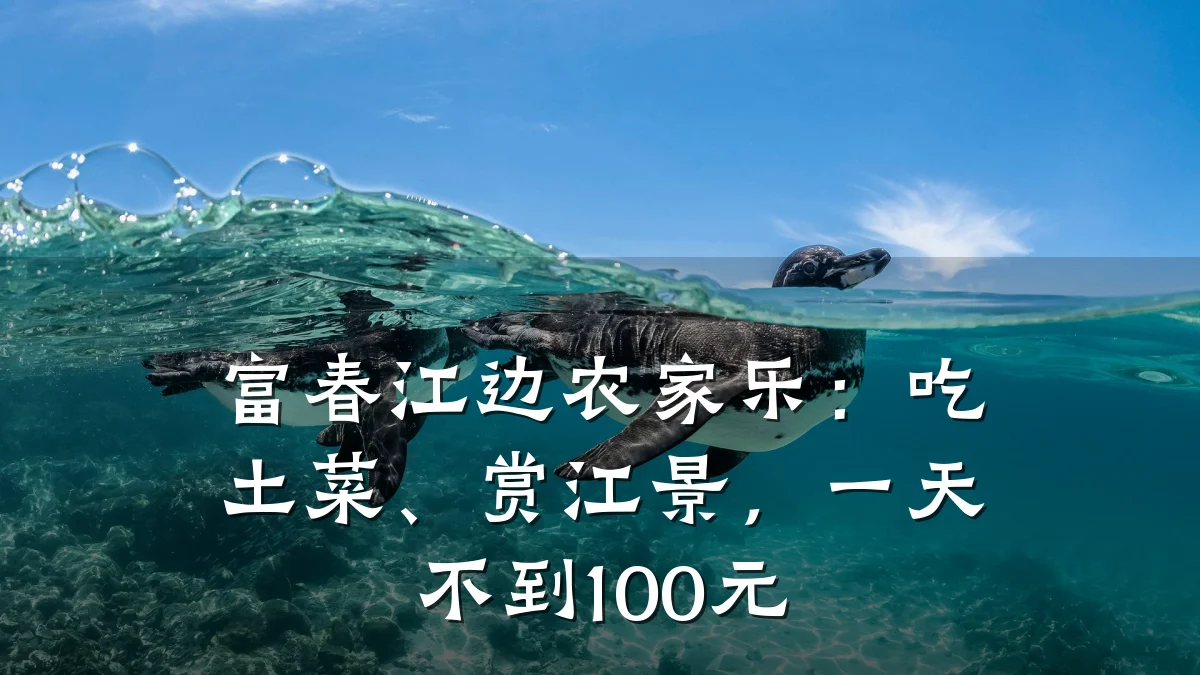 富春江边农家乐:吃土菜、赏江景,一天不到100元