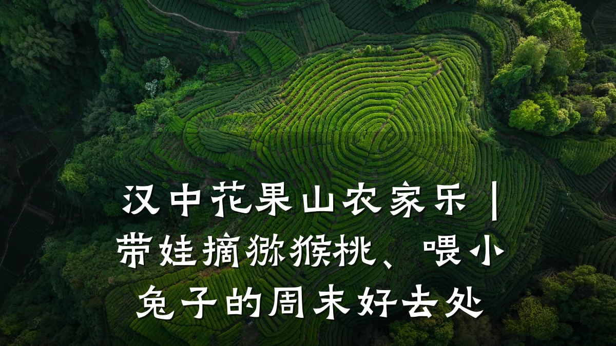 汉中花果山农家乐｜带娃摘猕猴桃、喂小兔子的周末好去处