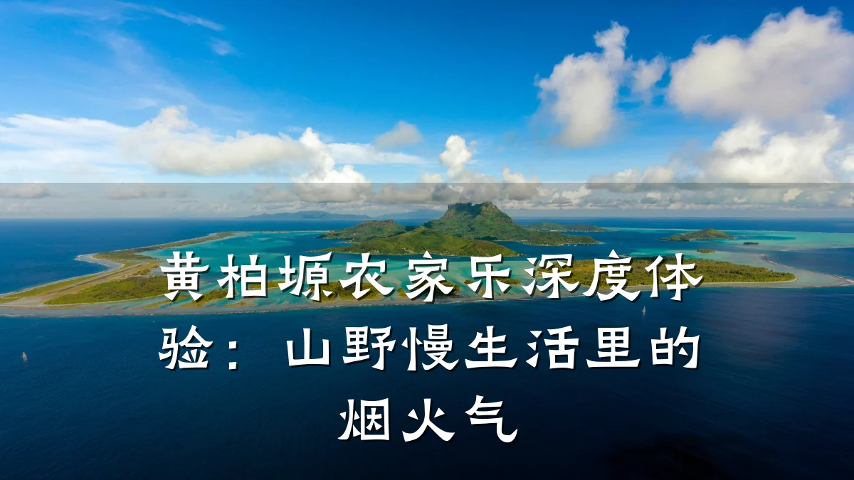 黄柏塬农家乐深度体验:山野慢生活里的烟火气