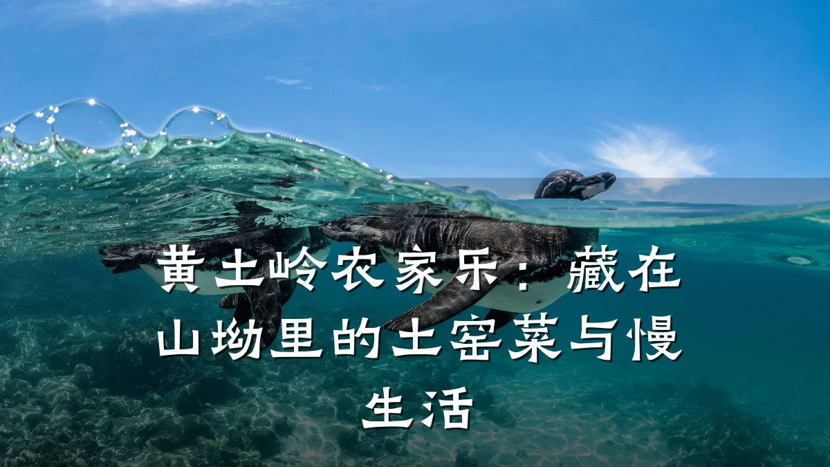 黄土岭农家乐:藏在山坳里的土窑菜与慢生活