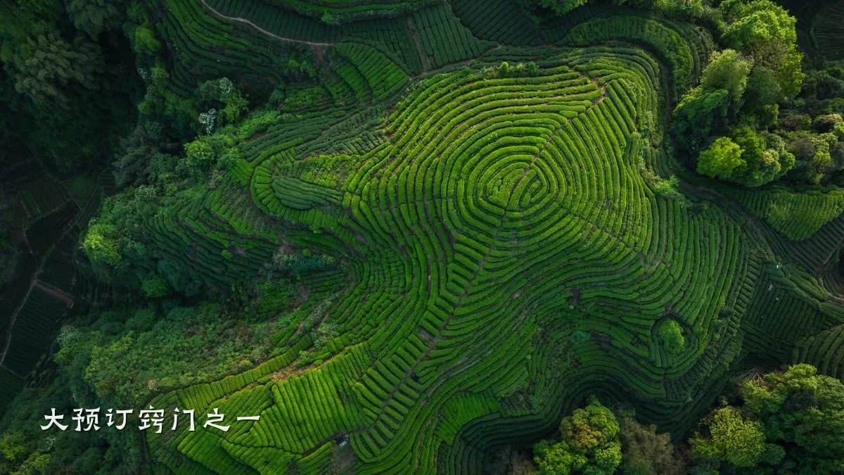 大预订窍门之一