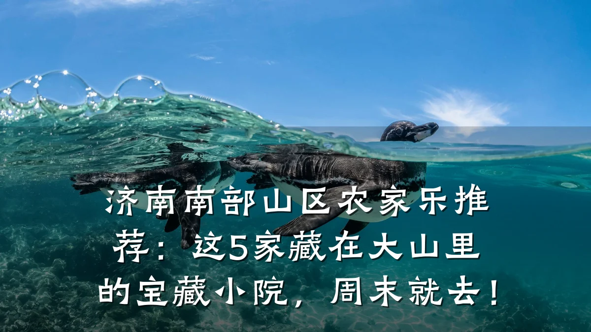 济南南部山区农家乐推荐:这5家藏在大山里的宝藏小院,周末就去!