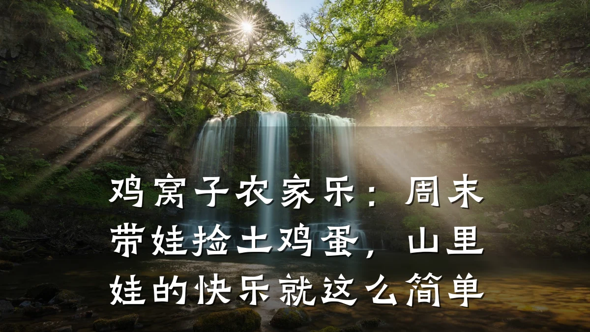 鸡窝子农家乐:周末带娃捡土鸡蛋,山里娃的快乐就这么简单