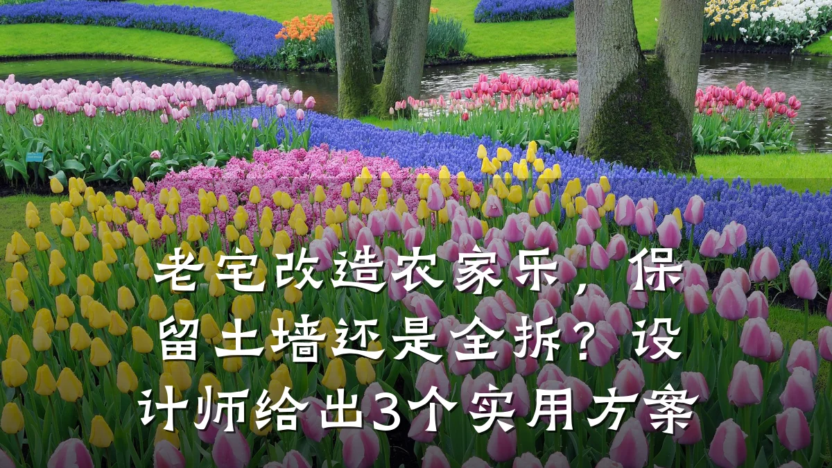 老宅改造农家乐,保留土墙还是全拆?设计师给出3个实用方案