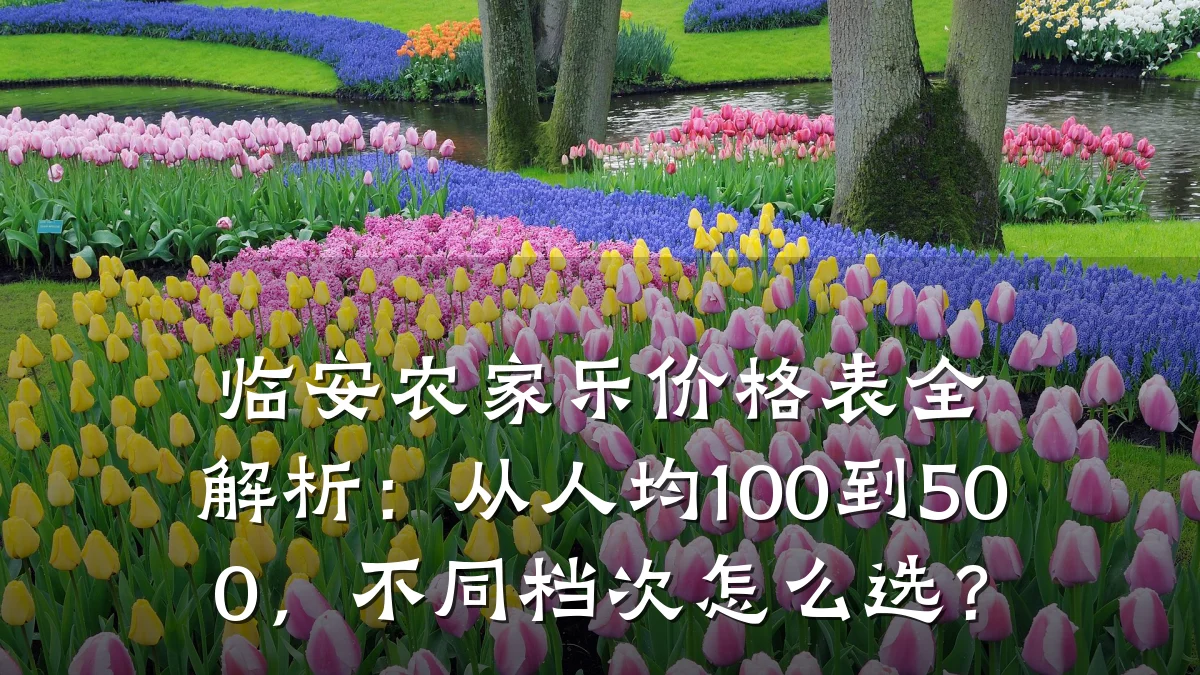 临安农家乐价格表全解析:从人均100到500,不同档次怎么选?