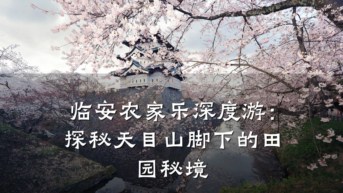 临安农家乐深度游:探秘天目山脚下的田园秘境