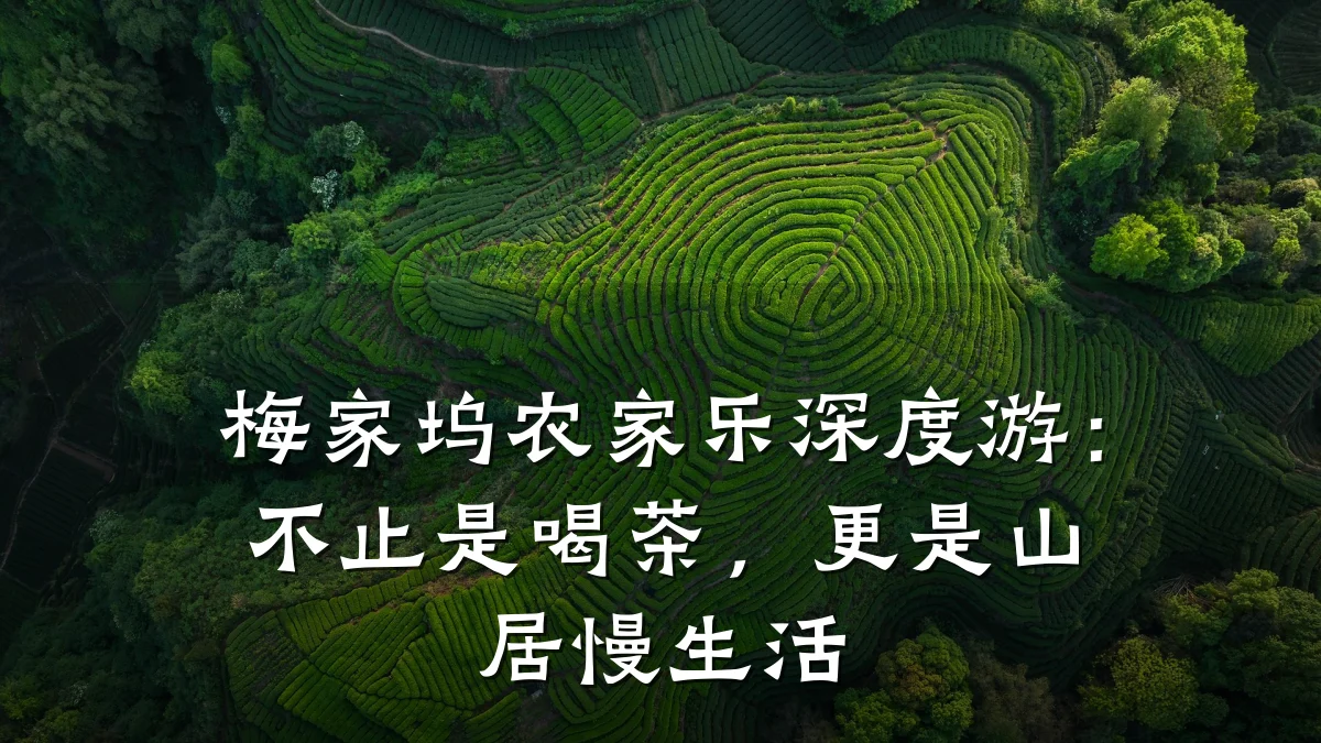 梅家坞农家乐深度游：不止是喝茶，更是山居慢生活