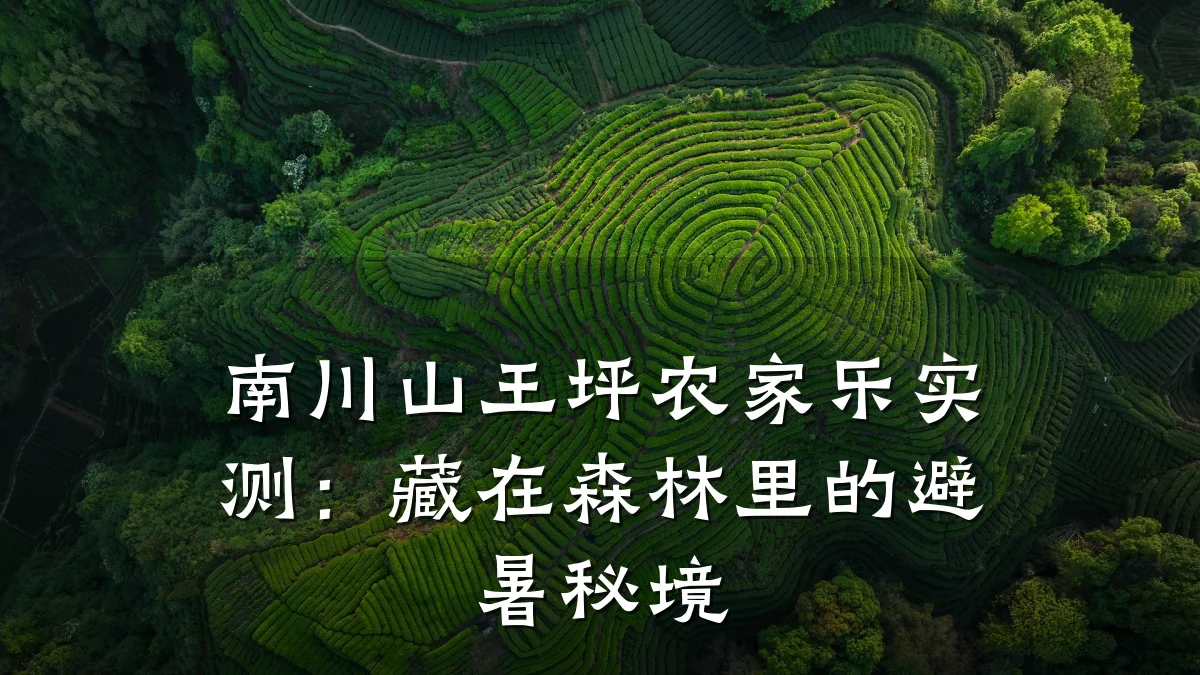 南川山王坪农家乐实测:藏在森林里的避暑秘境