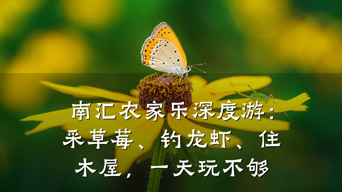 南汇农家乐深度游:采草莓、钓龙虾、住木屋,一天玩不够