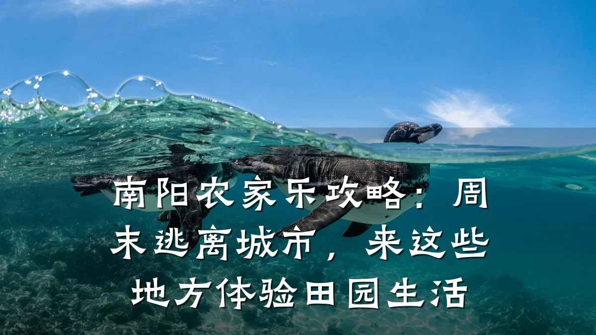 南阳农家乐攻略:周末逃离城市,来这些地方体验田园生活