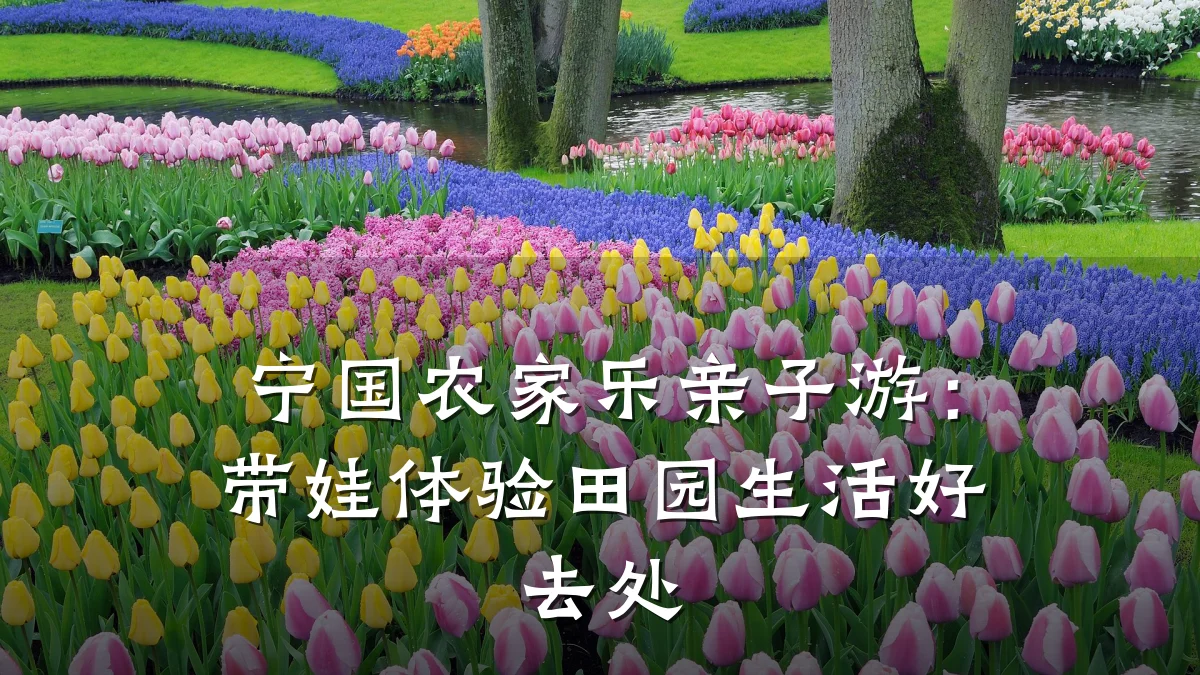 宁国农家乐亲子游：带娃体验田园生活好去处