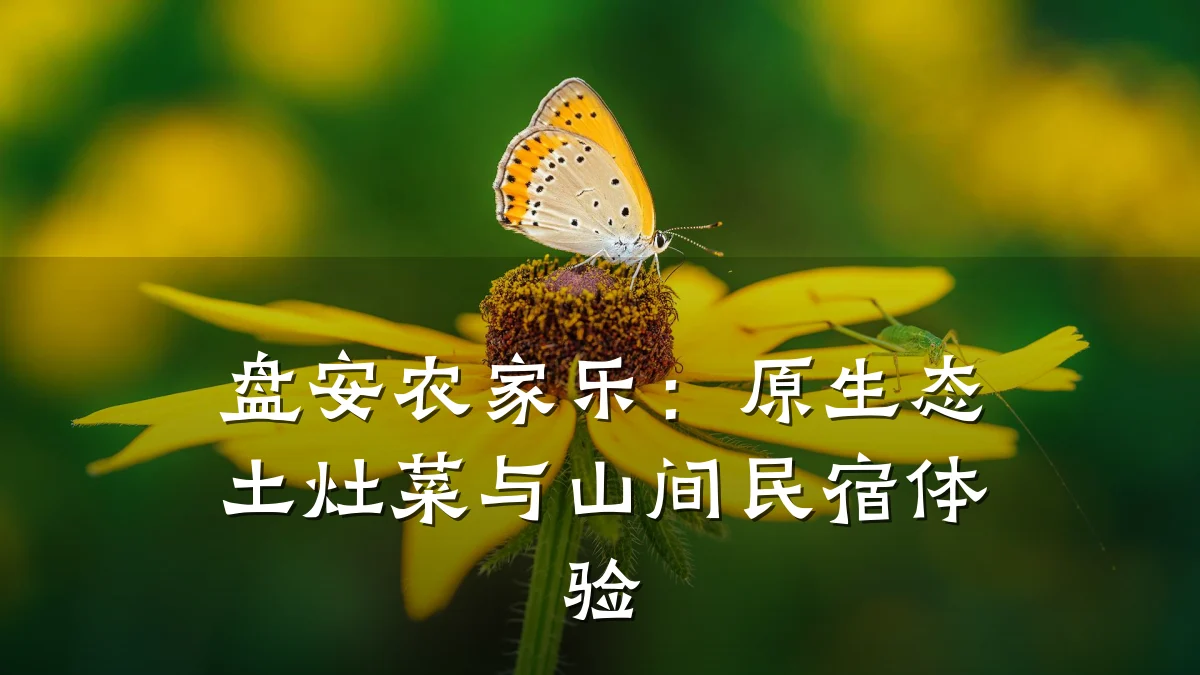 盘安农家乐:原生态土灶菜与山间民宿体验