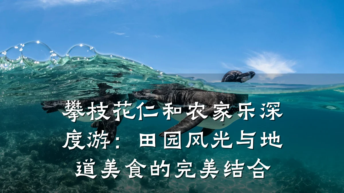 攀枝花仁和农家乐深度游:田园风光与地道美食的完美结合