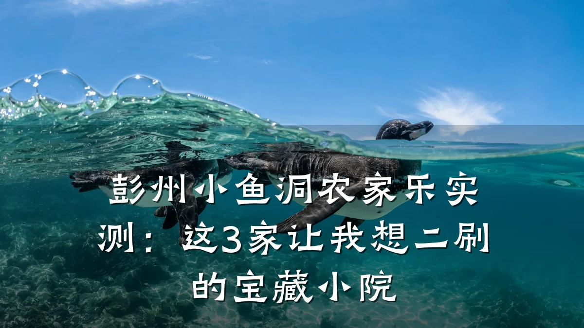 彭州小鱼洞农家乐实测:这3家让我想二刷的宝藏小院