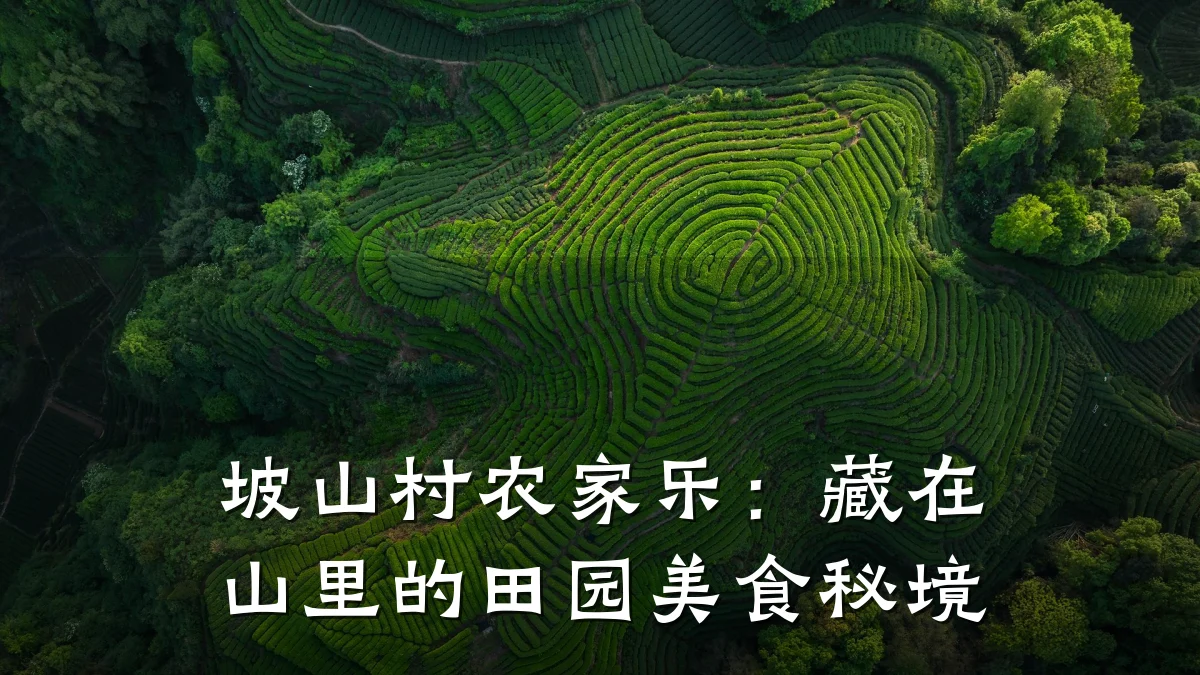 坡山村农家乐:藏在山里的田园美食秘境