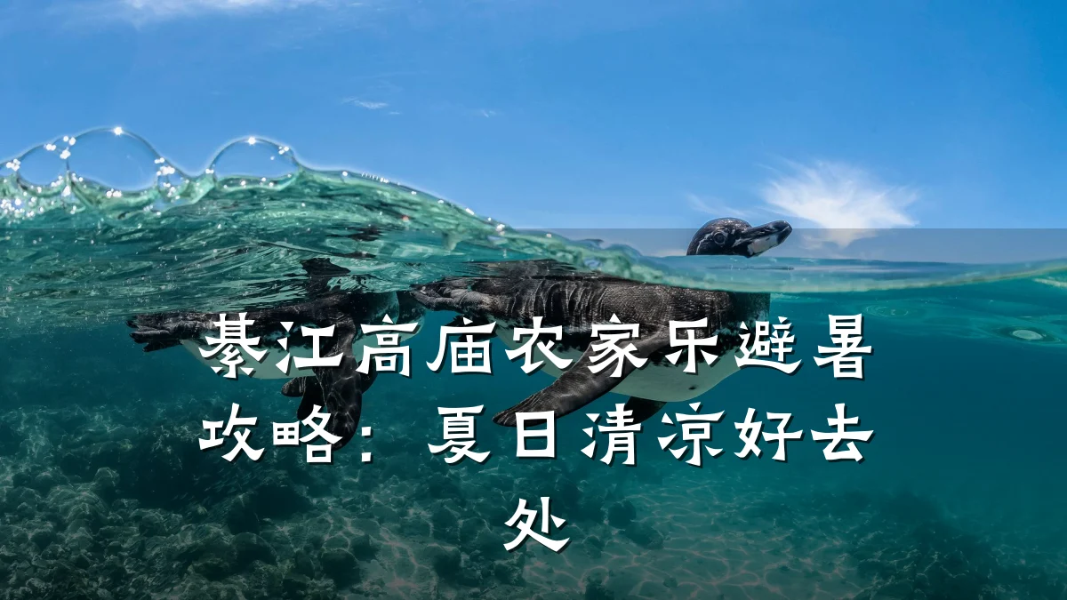 綦江高庙农家乐避暑攻略:夏日清凉好去处