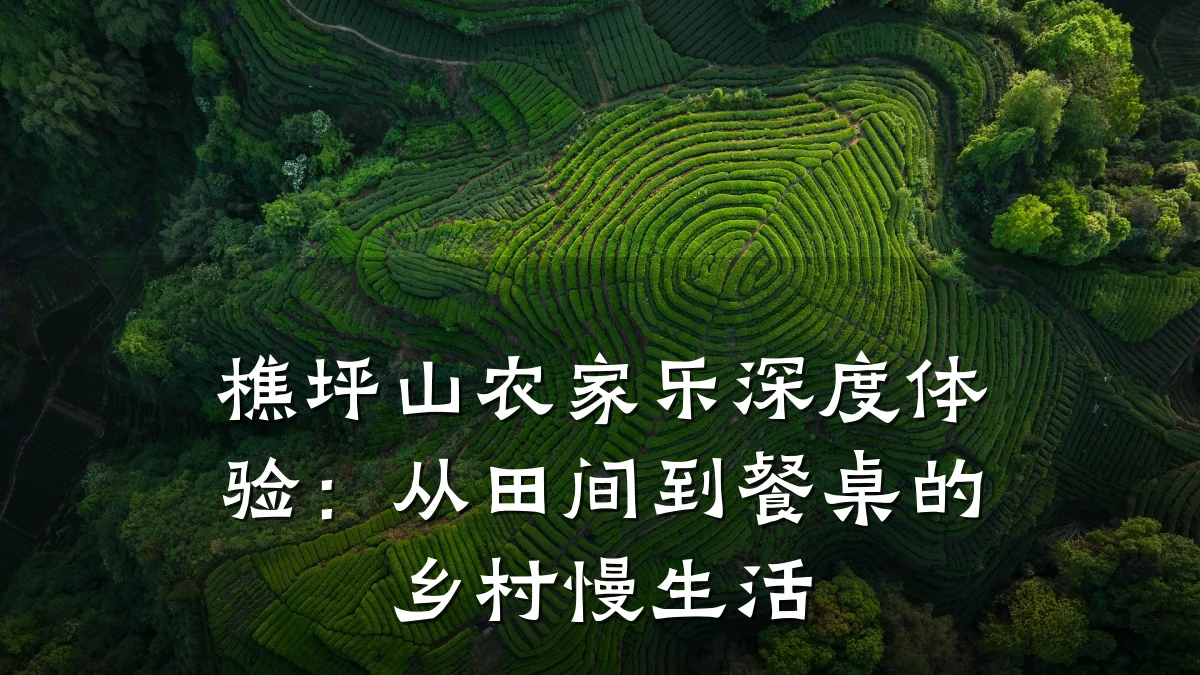 樵坪山农家乐深度体验：从田间到餐桌的乡村慢生活