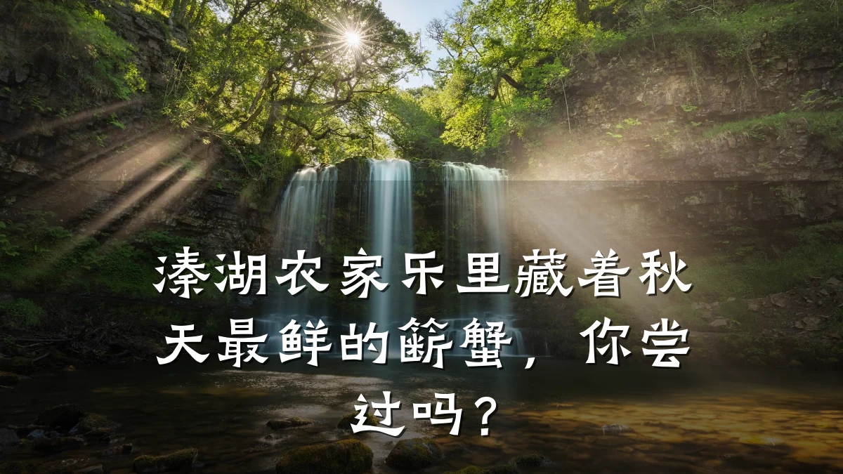 溱湖农家乐里藏着秋天最鲜的簖蟹,你尝过吗?