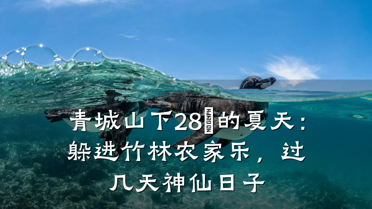 青城山下28℃的夏天:躲进竹林农家乐,过几天神仙日子