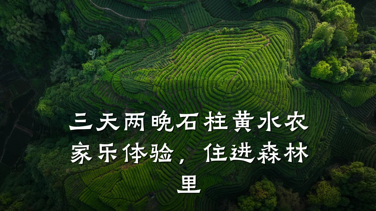 三天两晚石柱黄水农家乐体验,住进森林里