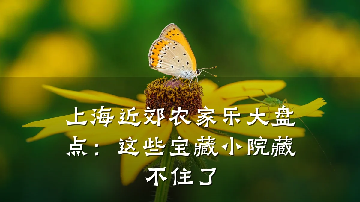 上海近郊农家乐大盘点:这些宝藏小院藏不住了