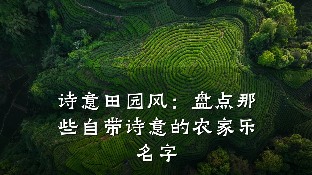 诗意田园风:盘点那些自带诗意的农家乐名字