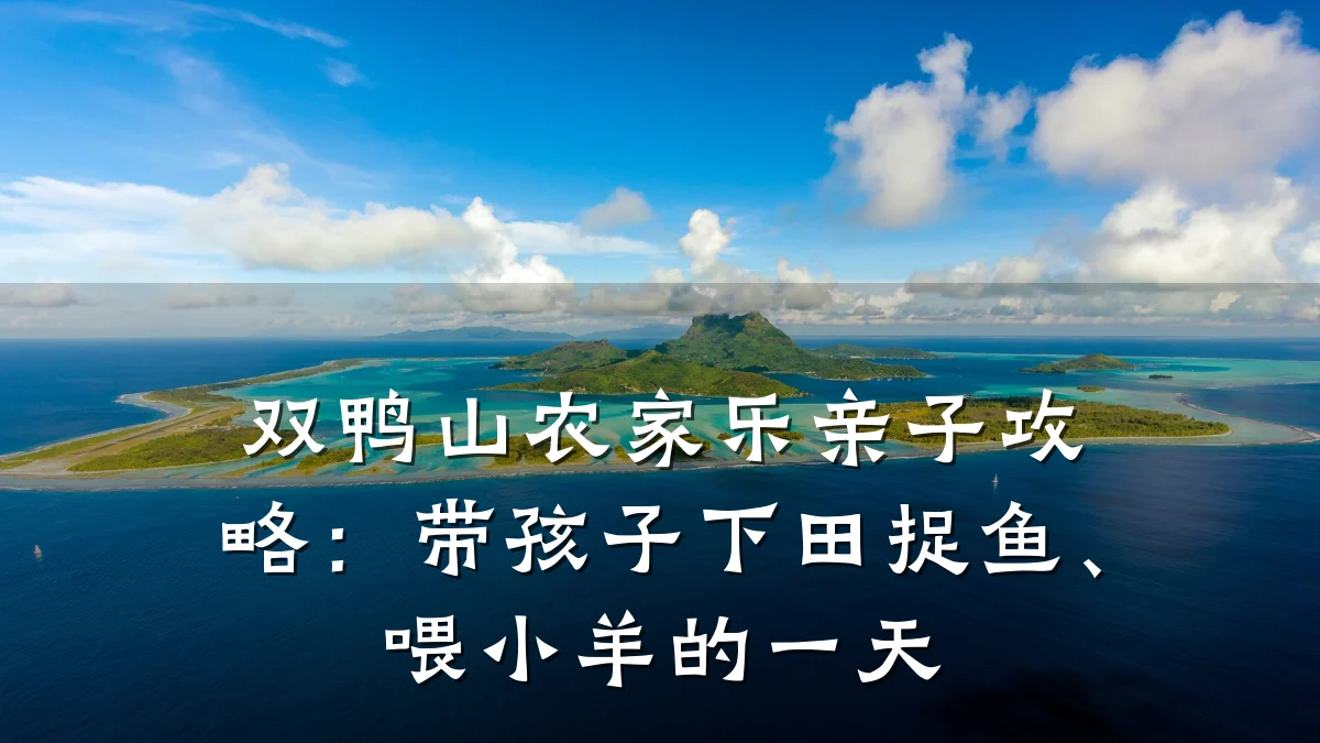 双鸭山农家乐亲子攻略:带孩子下田捉鱼、喂小羊的一天