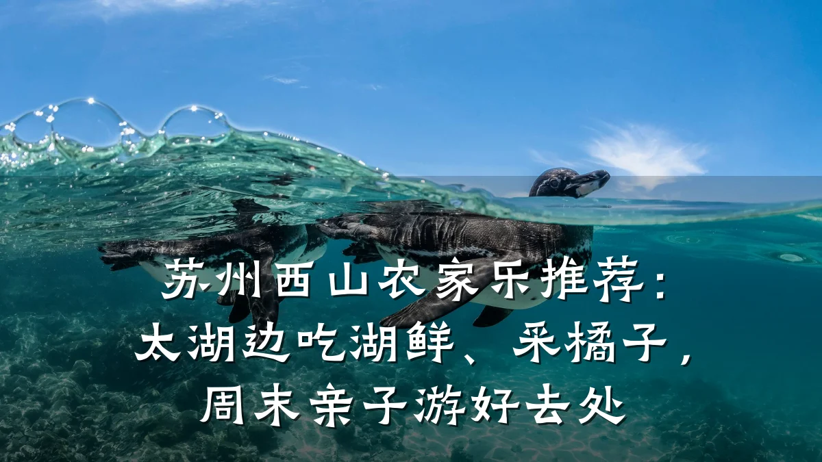 苏州西山农家乐推荐:太湖边吃湖鲜、采橘子,周末亲子游好去处