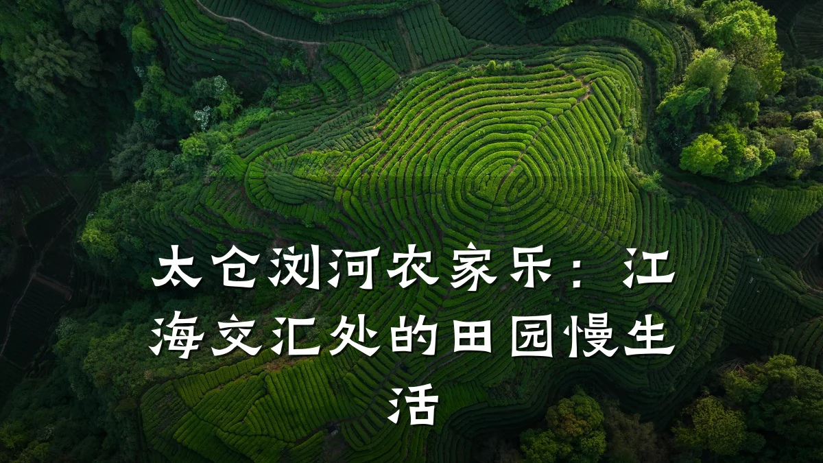 太仓浏河农家乐:江海交汇处的田园慢生活
