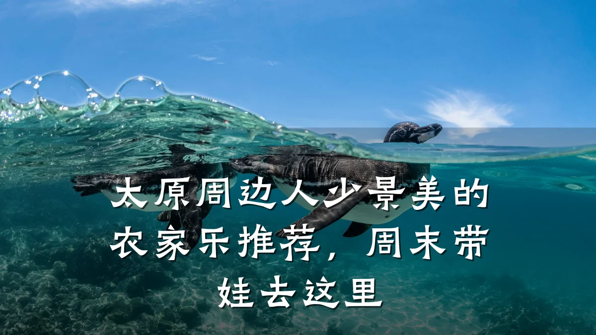 太原周边人少景美的农家乐推荐,周末带娃去这里