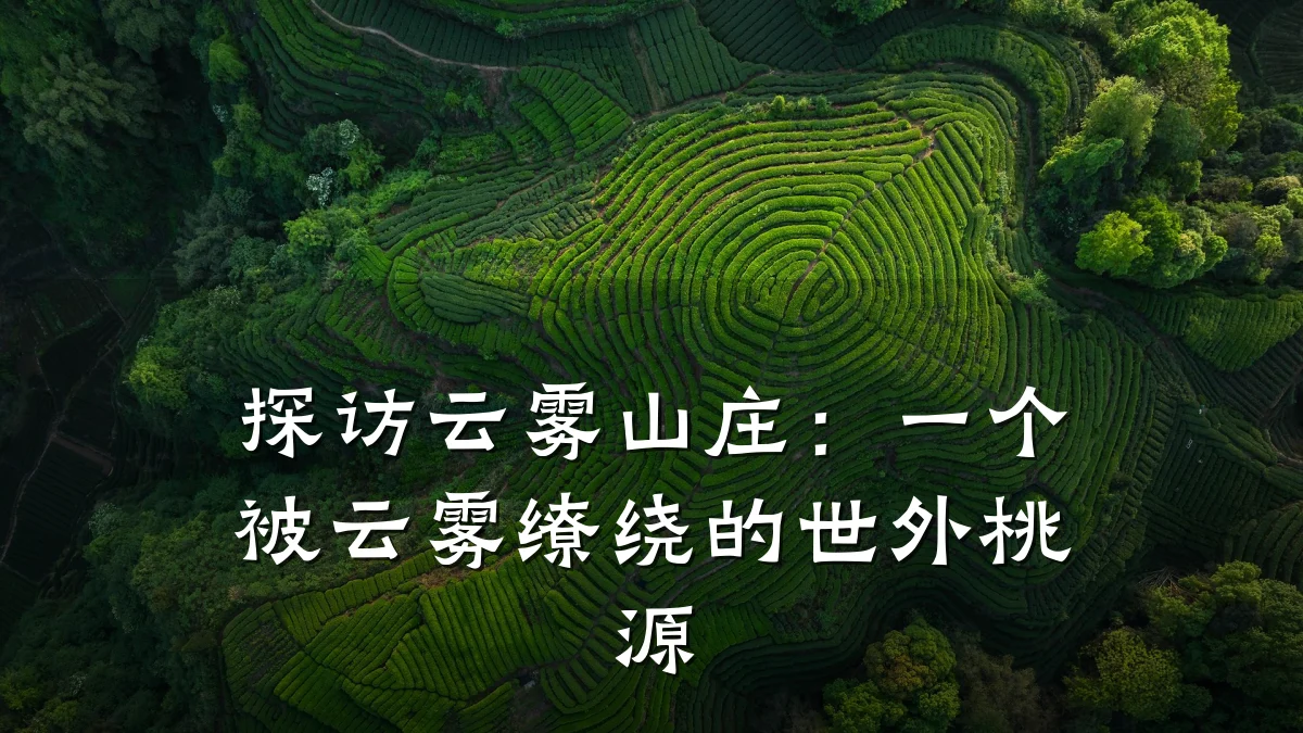 探访云雾山庄:一个被云雾缭绕的世外桃源