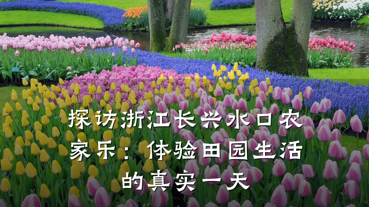 探访浙江长兴水口农家乐:体验田园生活的真实一天