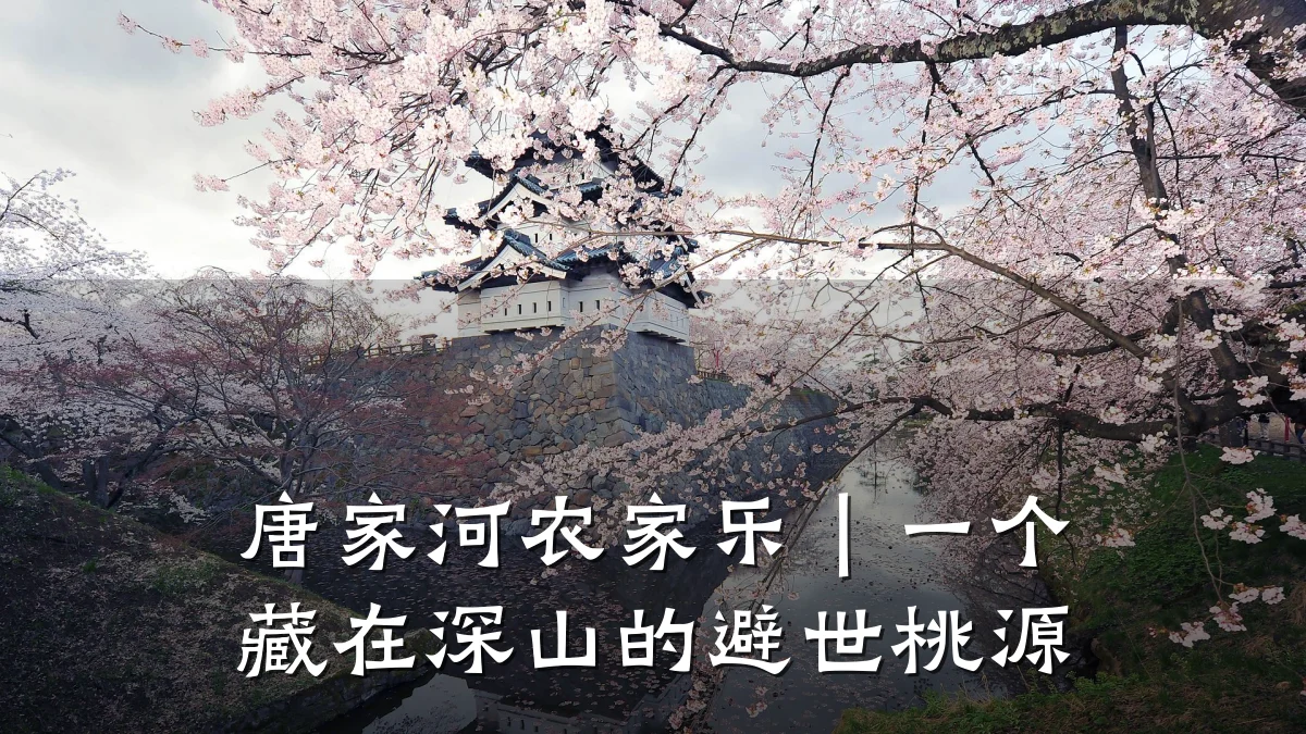 唐家河农家乐|一个藏在深山的避世桃源