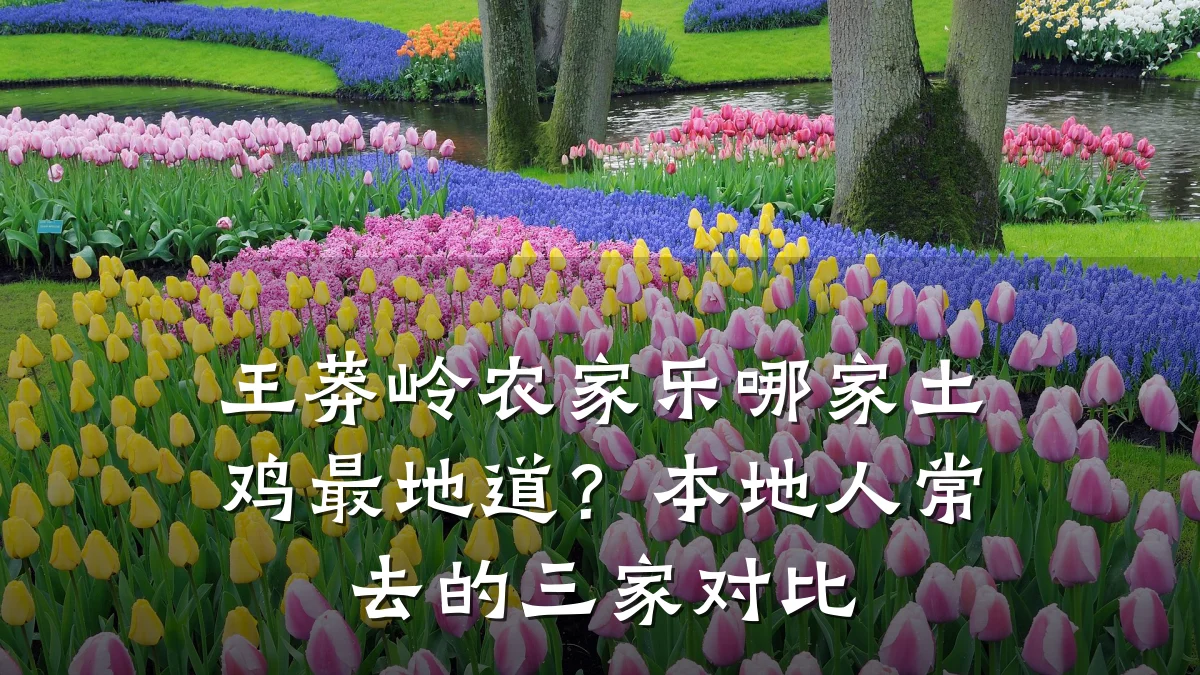 王莽岭农家乐哪家土鸡最地道?本地人常去的三家对比