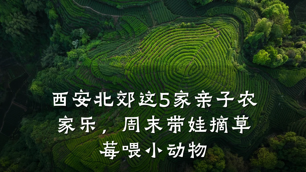 西安北郊这5家亲子农家乐,周末带娃摘草莓喂小动物
