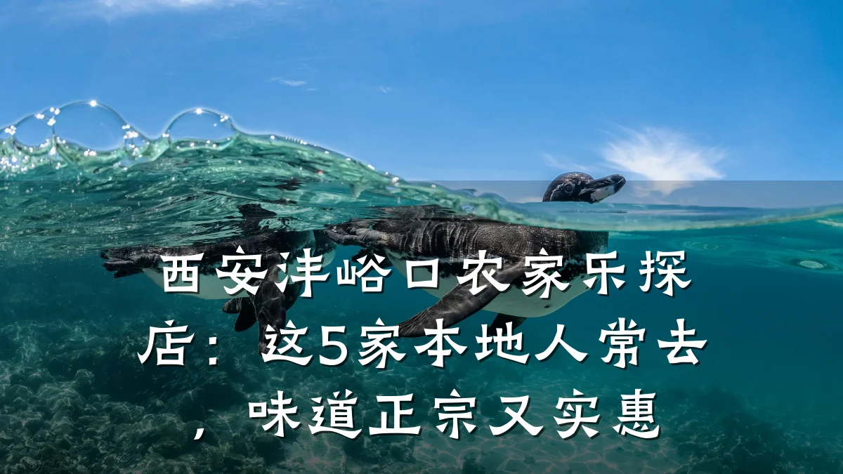 西安沣峪口农家乐探店:这5家本地人常去,味道正宗又实惠
