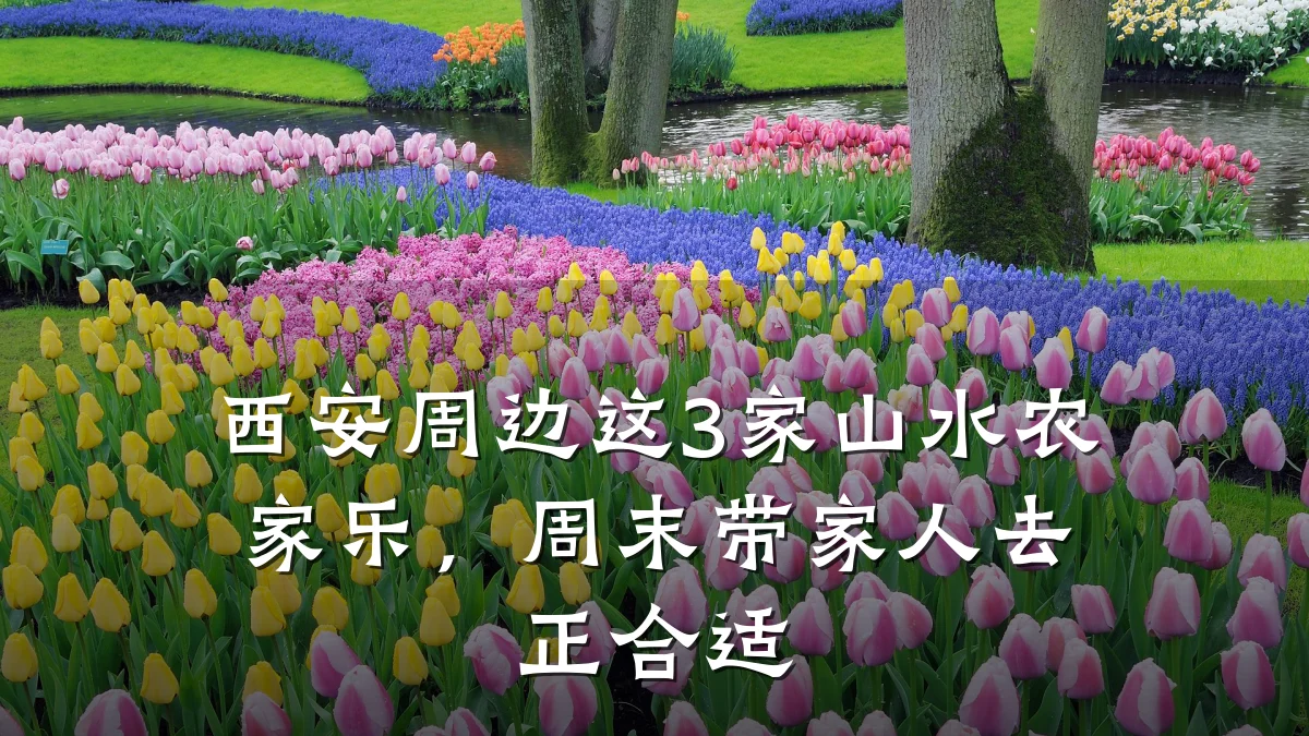 西安周边这3家山水农家乐,周末带家人去正合适