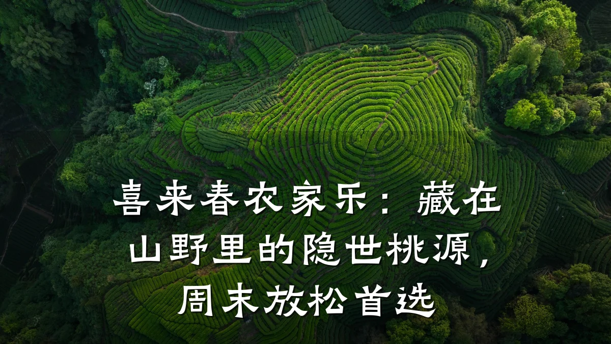喜来春农家乐：藏在山野里的隐世桃源，周末放松首选