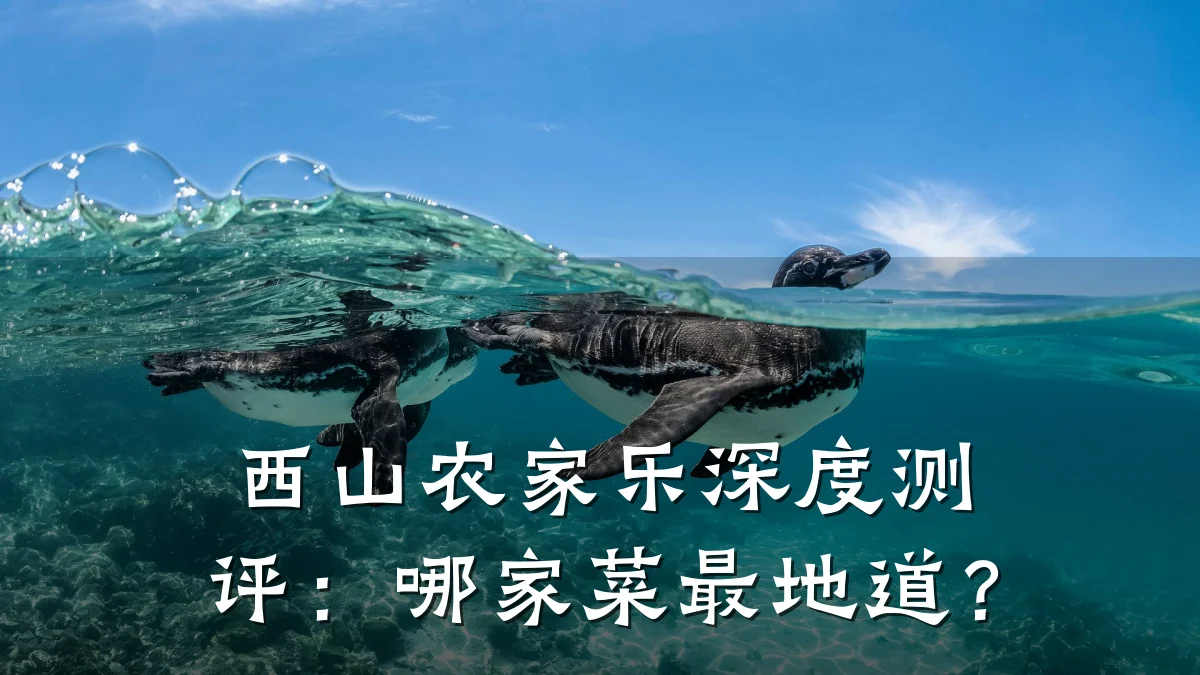 西山农家乐深度测评:哪家菜最地道?